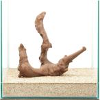  один пункт предмет прекрасное качество коряга .30cm аквариум для 880462