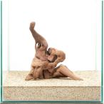  один пункт предмет прекрасное качество коряга .30cm аквариум для 880471