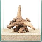  один пункт предмет tia- звуковой сигнал дерево 30cm аквариум для 880582