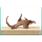 ショッピングテラリウム 一点物　上質流木　雅　４５ｃｍ水槽用　８８１０２９