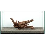 一点物　ドリフトウッド　大型水槽用　８８１０７０