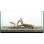 一点物　ゴーストウッド　大型水槽用　８８１０９６