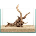  один пункт предмет tia- звуковой сигнал дерево 45cm аквариум для 881208