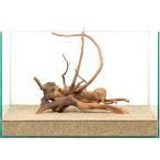  один пункт предмет roots дерево одиночный 45cm аквариум для 881360