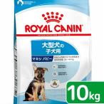 ショッピング10kg ロイヤルカナン　マキシ　パピー　子犬用　１０ｋｇ　３１８２５５０７７８３０５　ジップ無し　お一人様５点限り