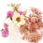  сухой цветок коралл S 1 пачка цвет случайный материалы для цветочной композиции 