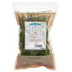 令和７年産　国産牧草　やみつきイタリアンライグラス　２０ｇ　お試しサイズ　牧草　うさぎ　モルモット　小動物　おやつ　ＵＳＡＹＡＭＡ