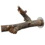  местного производства натуральный материалы. ветка минут .. нет. дерево ( шайба 2 шт ) вид случайный фиксированный древесина для грызки ... дерево 