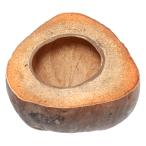  кокос pot дыра диаметр 8.5cm передний и задний (до и после) диаметр 17× высота 11cm