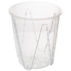  корень . видно прозрачный горшок диаметр 18cm 1 шт 