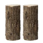  дуб конара производство яйцо дерево маленький глаз 2 шт насекомое рогач для 