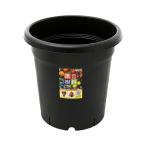  посадочная машина Apple одежда - фруктовое дерево горшок 365 type черный . один человек sama 2 пункт ограничение 