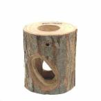 フジコン　プレミアム　インセクトシェルター　Ｓ　昆虫　カブトムシ　クワガタ　のぼり木　レイアウト用品　エサ皿