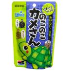 キョーリン　のこのこカメさん　４０ｇ　餌　エサ　浮上性　小粒　水棲カメ用　お一人様１５０点限り