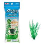 ＧＥＸ　メダカ水景　天然産卵草