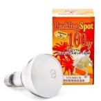 ポゴナ・クラブ　ビバリウム　バス