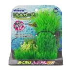 niso- little сад 1 человеческий труд водоросли 