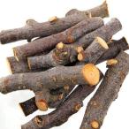  леса дерево futoshi 10шт.@1 комплект ( насекомое для ) переворачивание предотвращение 