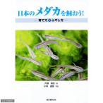 日本のメダカを飼おう！　（育て方とふやし方）