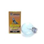 ポゴナ・クラブ　ビバリウム　バス