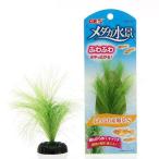 GEXme Dakar вода . нежный производство яйцо .S человеческий труд водоросли расположение сопутствующие товары производство яйцо пол 