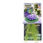 niso- little сад отходит . лиловый человеческий труд водоросли производство яйцо пол 