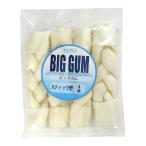 ペットプロ　ＢＩＧガ