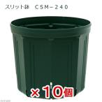  горшок с разрезом CSM-240 moss green 10 шт. комплект . один человек sama 1 пункт ограничение садоводство горшок 