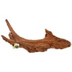  бесплатная доставка kami - ta коряга очень большой вид оставив решение кому-то другому аквариум аквариум . один человек sama 1 пункт ограничение 180 размер 