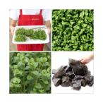 ( водоросли ) зеленый ro треска 60cm аквариум расположение комплект ( водный лист ) Хонсю Сикоку ограничение 