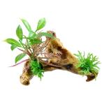 GEX.. вода . водоросли имеется коряга игла аквариум аквариум человеческий труд водоросли 