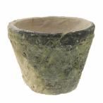  суккулентное растение античный pot диаметр 10×7.5cm чёрный mo спот стандартный 