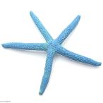 zen acid ZEST копия коралл M-6 Sky голубой 