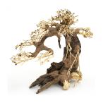kami - ta вода .BONSAI. лист сосна L размер коряга . надеты расположение водоросли аквариум аквариум 
