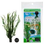 niso-me Dakar. Tama . производство ..