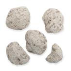  вид оставив решение кому-то другому обработка легко отходит камень SS 5 шт пемза бонсай террариум Pal dalium