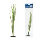LSS изучение место копия коралл стакан TR-S2 37cm шт. есть 