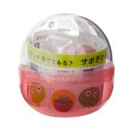 . новый керамика ... Capsule GREEN CAPSULE культивирование комплект случайный кактус культивирование комплект огород подарок 