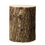 コナラ産卵木　太目　１５本　昆虫　クワガタ用