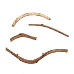 chi.modama. леса kn60g насекомое нобори дерево расположение сопутствующие товары леса 