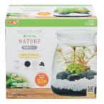 GEXbotolium nature комплект белый 