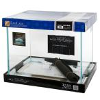  Kotobuki прикладное искусство kotobuki Regulus высокий прозрачный HC-650L ширина 600× глубина 450× высота 500mm 180 размер 