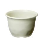 ��a�v���X�`�b�N�@�m�[�~�B���[�|�b�g�@�T���@�A�C�{���[