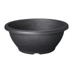 スドーメダカ鉢黒茶１５号お一人様３点限り