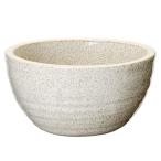 信楽焼めだか鉢白ボール８号睡蓮鉢