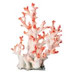 zen acid ZEST копия коралл L-4 белый розовый 