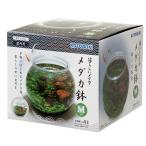  Kotobuki прикладное искусство жизнь .me Dakar me Dakar горшок M