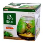 GEX стакан aqua tia-N 20cm террариум маленький размер аквариум стекло аквариум 