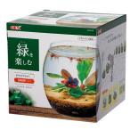 GEX стакан aqua Drop N 17cm террариум маленький размер аквариум стекло аквариум 