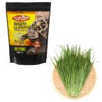 リクガメフード　ＧＥＸ　エキゾテ